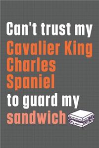 Can't trust my Cavalier King Charles Spaniel to guard my sandwich