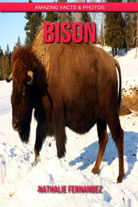 Bison