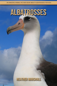 Albatrosses