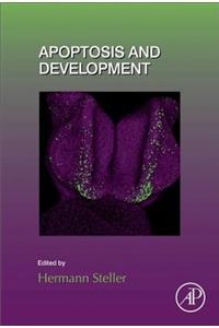 Apoptosis and Development