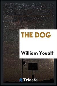 The Dog
