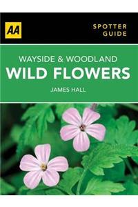 Wayside & Woodland Wild Flowers