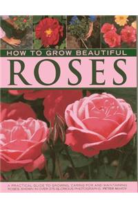 How to Grow Beautiful Roses