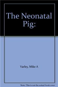 Neonatal Pig