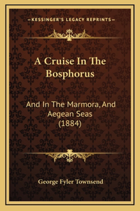 A Cruise In The Bosphorus