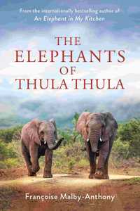 Elephants of Thula Thula