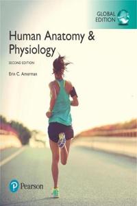 Human Anatomy & Physiology plus Pearson Mastering Anatomy & Physiology with Pearson eText, Global Edition