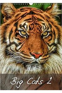 Big Cats2 2018