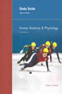 Human Anatomy and Physiology