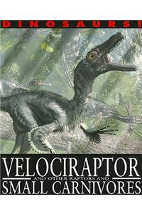 Velociraptor and Other Raptors and Small Carnivores