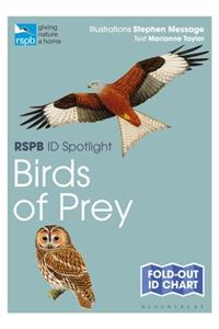 RSPB ID Spotlight - Birds of Prey