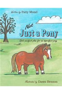 Not Just a Pony