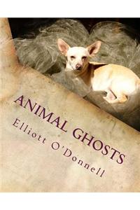 Animal Ghosts: Animal Hauntings and the Hereafter