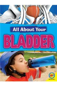 Bladder