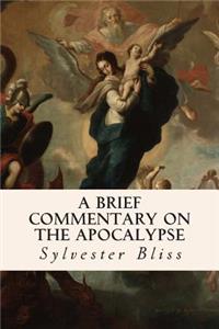 Brief Commentary on the Apocalypse