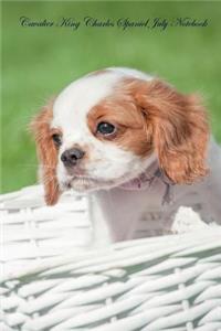 Cavalier King Charles Spaniel July Notebook Cavalier King Charles Spaniel Record, Log, Diary, Special Memories, to Do List, Academic Notepad, Scrapbook & More