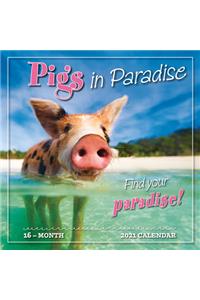 2021 Pigs in Paradise 16-Month Wall Calendar