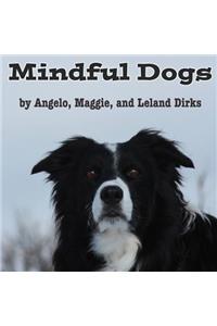 Mindful Dogs