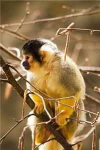 Squirrel Monkey in a Tree Journal: 150 Page Lined Notebook/Diary: 150 Page Lined Notebook/Diary