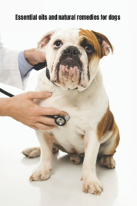 Essential Oils and Natural Remedies for Dogs