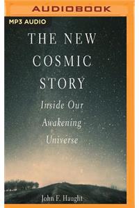 New Cosmic Story