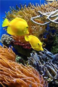 A Pair of Yellow Tang Fish Journal