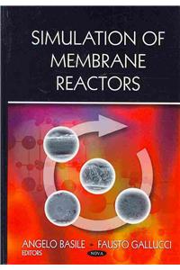 Simulation of Membrane Reactors