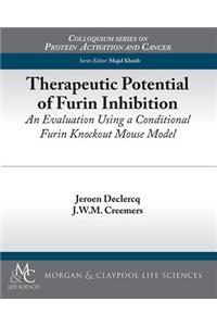 Therapeutic Potential of Furin Inhibition