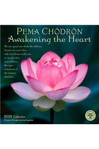 Pema Chodron 2019 Wall Calendar: Awakening the Heart