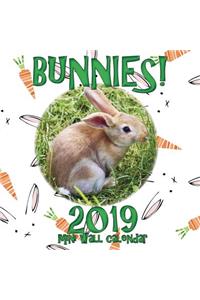 Bunnies! 2019 Mini Wall Calendar