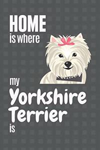 Home is where my Yorkshire Terrier is