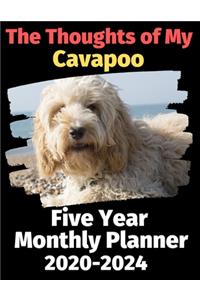 The Thoughts of My Cavapoo
