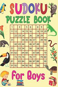 Sudoku puzzle book for Boys