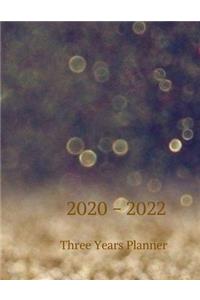 2020 - 2022 Three Years Planner