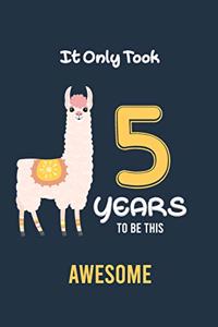 It Only Took 5 Years to be this Awesome