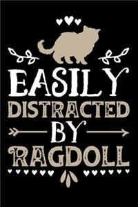 Easily Distracted By Ragdoll