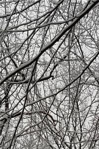 2020 Weekly Planner Winter Season Snowstorm Effect 134 Pages