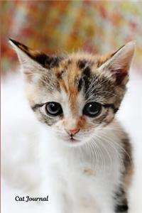 Cat Journal