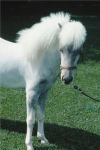 2020 Weekly Planner Horse Photo Equine Poofy White Pony 134 Pages