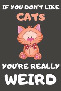 If You Don't Like Cats You're Really Weird