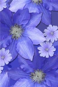 Mauve Flowers