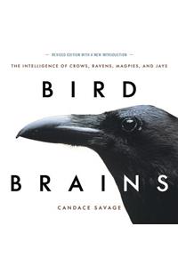 Bird Brains