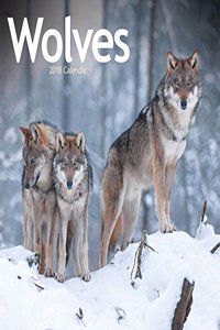 Wolves 2018 W (Square)