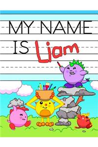 My Name is Liam