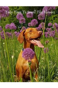 Take Time to Smell the Flowers