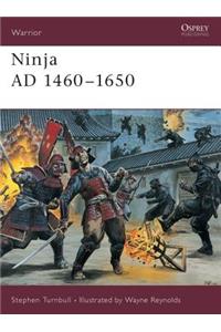 Ninja Ad 1460-1650