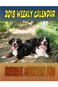 2018 Weekly Calendar Bernese Mountain Dog