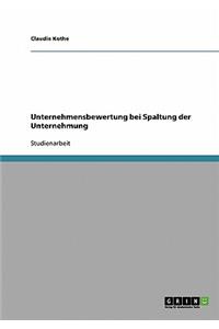 Unternehmensbewertung bei Spaltung der Unternehmung