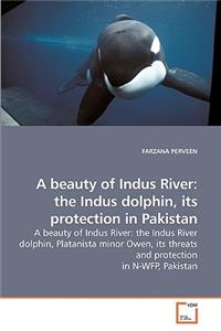 beauty of Indus River