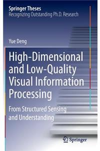 High-Dimensional and Low-Quality Visual Information Processing